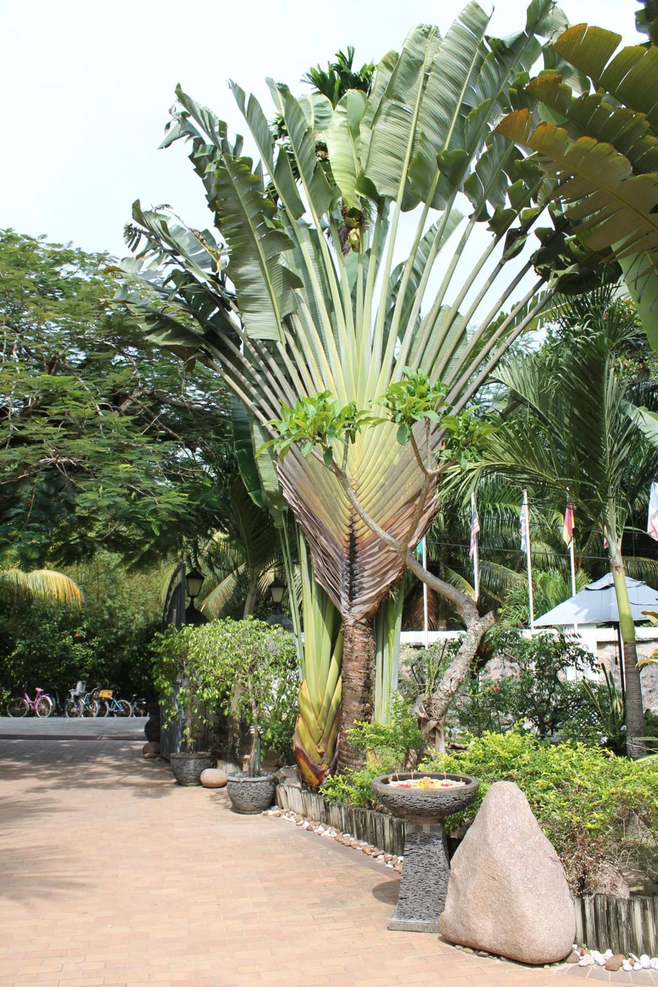 Hotel Chateau St Cloud La Digue Exterior photo